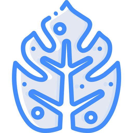 Leaf icon