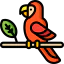 Parrot icon 64x64