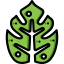 Leaf icon 64x64