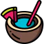 Coconut icon 64x64