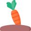 Carrot icon 64x64