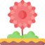Dalia icon 64x64