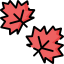 Maple leaf 图标 64x64