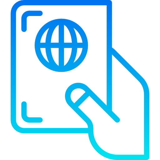 Visa icon