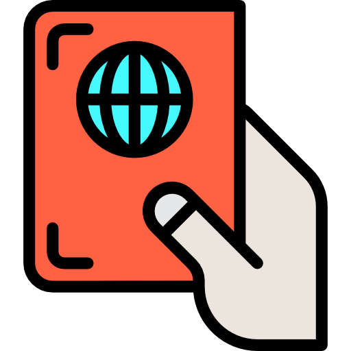 Visa icon