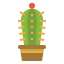 Cactus icon 64x64