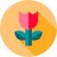 Flower icon 64x64
