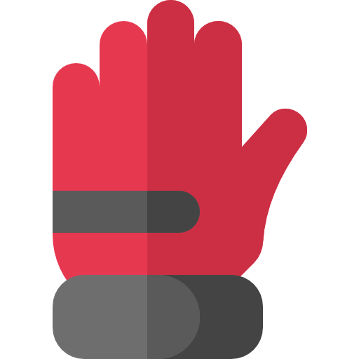 Gloves icon