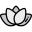 Water lily icon 64x64