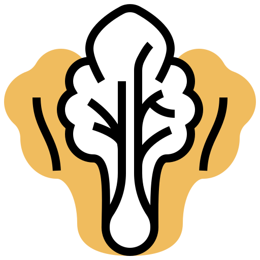 Cabbage icon