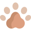 Bear icon 64x64