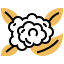 Cauliflower アイコン 64x64