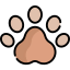 Bear icon 64x64