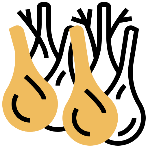 Fennel icon