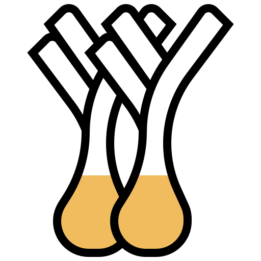 Leek icon