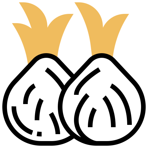 Onion icon
