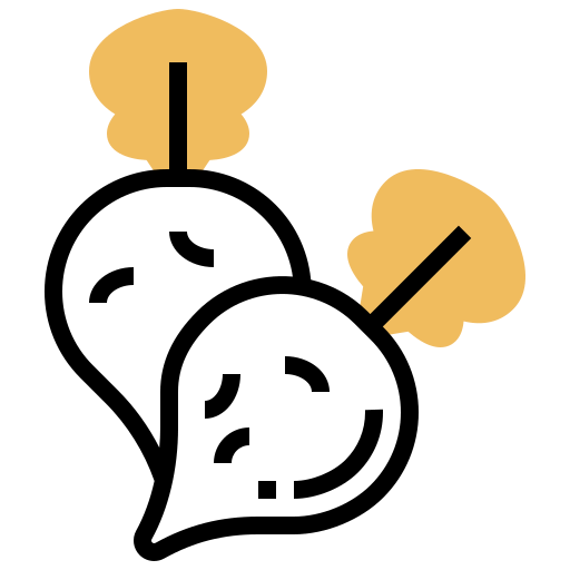Radish icon