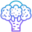 Broccoli icon 64x64