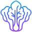 Cabbage icon 64x64