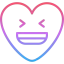 Heart icon 64x64