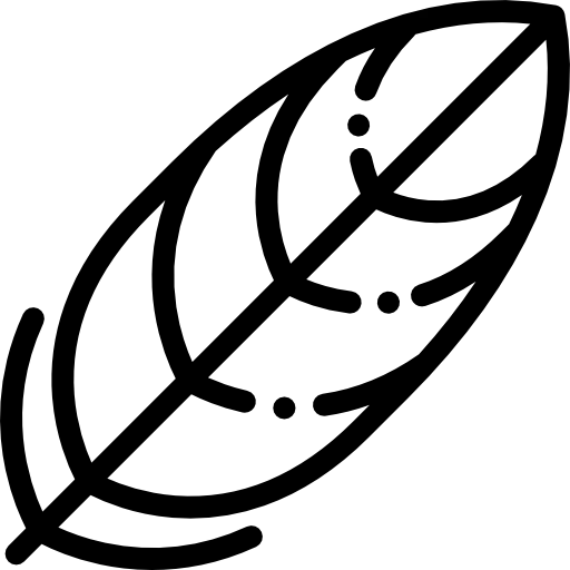 Feather icon