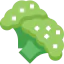 Broccoli icon 64x64