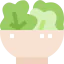 Salad icon 64x64