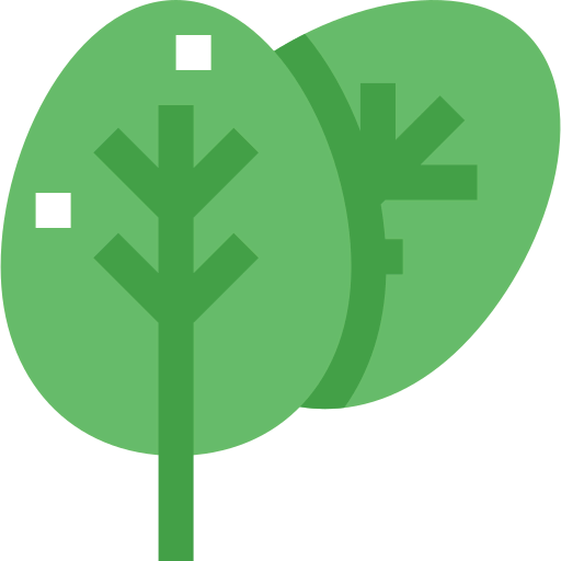 Spinach icon