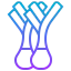 Leek icon 64x64