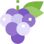 Grapes icon 64x64
