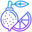 Lemon icon 64x64