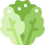 Lettuce icon 64x64