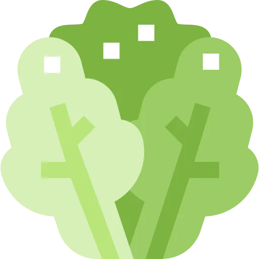 Lettuce icon