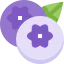 Blueberry icon 64x64