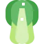 Bok choy icon 64x64