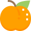 Apricot icon 64x64