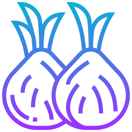 Onion icon