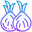Onion icon 64x64