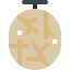Cantaloupe icon 64x64