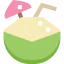 Coconut icon 64x64