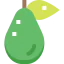 Avocado icon 64x64