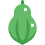 Papaya icon 64x64