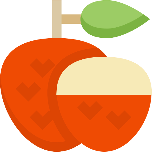 Lychee icon