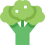 Broccoli biểu tượng 64x64