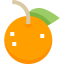 Orange icon 64x64