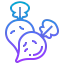 Radish icon 64x64