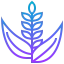 Rice icon 64x64