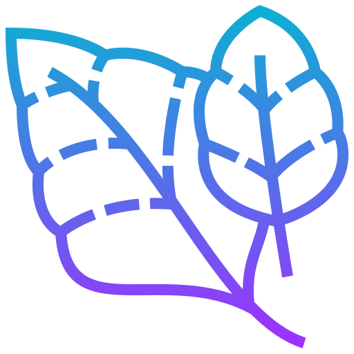 Spinach icon