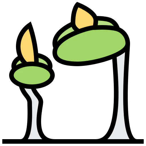 Bean icon