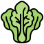 Cabbage icon 64x64